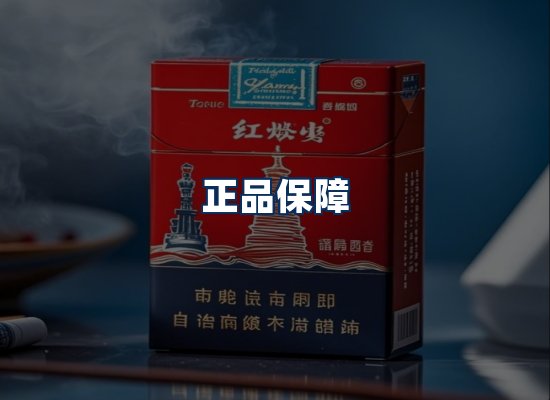 专业团队办公环境